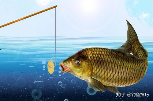 吃瓜娱乐小鲤鱼视频,趣味视频引网友热议  第3张